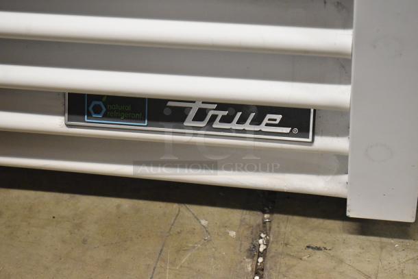 2021 True TSCI-600R-G-PH metal cooler with poly coated racks, 115V, single phase, "natural refrigerant" label, commercial use.