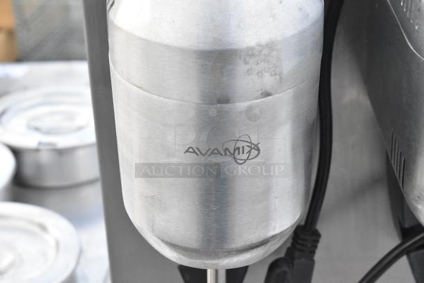 AvaMix DM-B-21C stainless steel 2 head drink mixer, 110-120V, countertop model, shown with AvaMix logo, good condition.