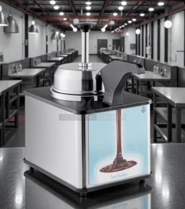 Server Products FSPW-SS hot fudge warmer, stainless steel finish, countertop model, superior condition, 120V, fully tested.