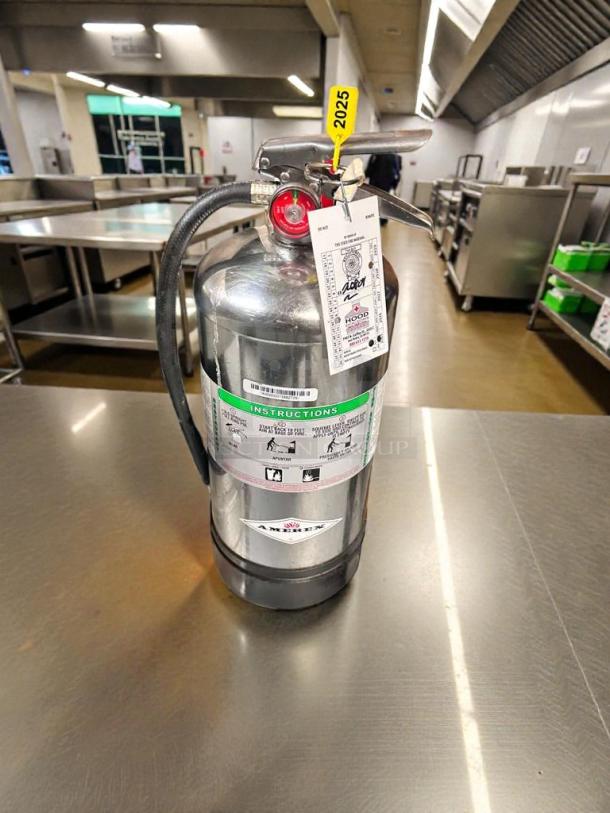 Amerex C260 commercial wet chemical fire extinguisher in superb condition, inspected, with 2025 tag, ready for use.