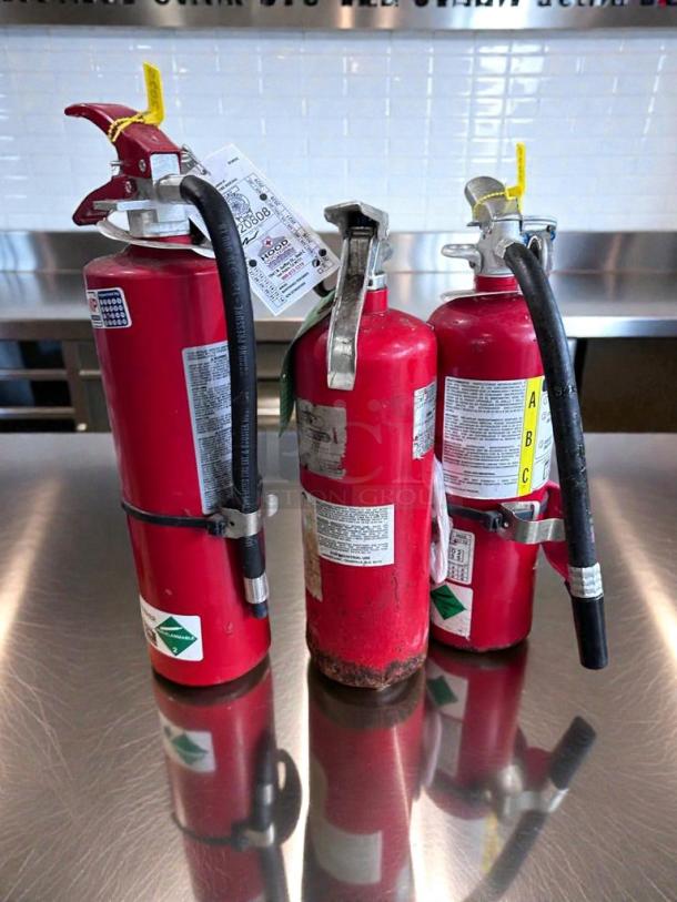 Three commercial ABC-rated fire extinguishers in exceptional condition, fully charged, mixed brands, with visible inspection tags.