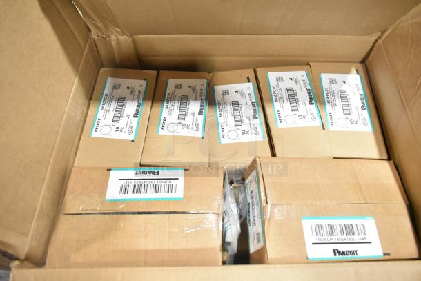 18 new Panduit boxes with Netkey NK5EPC3Y patch cords and NK4FWHY faceplates, labels show specifications.