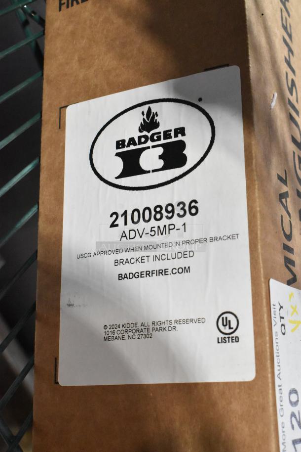 Boxed Badger 21008936 Fire Extinguisher, labeled UL listed. USCG approved with bracket included. Brand new condition.