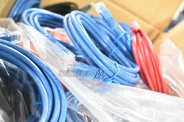 Alt text: Assortment of blue and red Ethernet cables with RJ45 connectors, coiled and bundled in a box with some in plastic wrap.