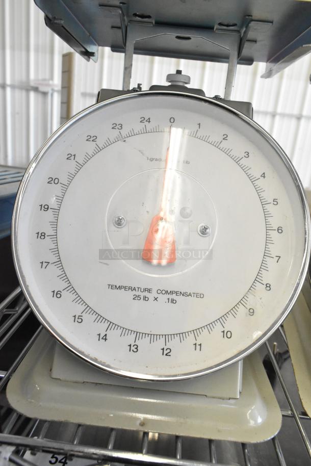 Detecto SCS30A hanging produce scale, temperature compensated, 25 lb capacity, visible markings, good condition.
