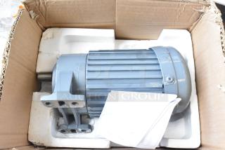 TVT Induction Motor, 220 Volts, gray, in open cardboard box with packaging foam, appears new with attached documents.