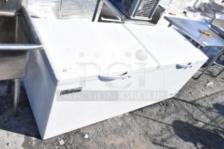 Coldline BD-600 chest freezer, 115 volts, 1 phase, in used condition. Features dual lids, Coldline branding visible.