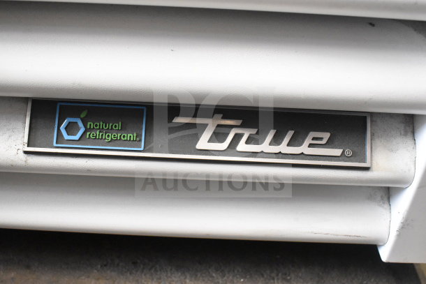 True TSCI-600R-G-PH Cooler Merchandiser, commercial single door, natural refrigerant label, 115V, good condition.