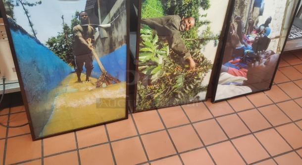 Framed art print BIDX3 featuring vibrant images: a man sweeping water, harvesting coffee, and people in colorful attire. Excellent condition.
