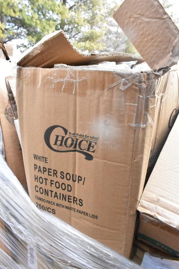 Cardboard box labeled "Choice White Paper Soup/Hot Food Containers, Combo Pack with White Paper Lids, 250/CS," slightly damaged.