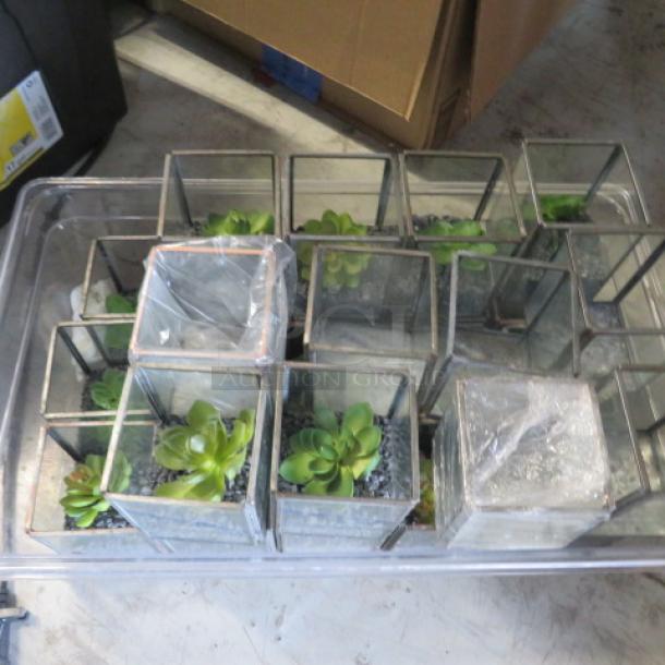 Lot of 27 glass terrariums, various sizes, containing faux succulents and gravel. Some covered in plastic wrap. Good condition.