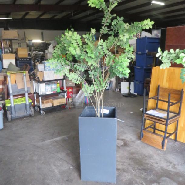 Black planter with a tree, 17x17x32.5 inches, in good condition. Rectangular shape, vibrant green foliage.