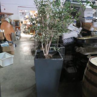 Tall planter with lush tree, dimensions 18.5x18.5x36 inches, housed in an industrial setting.
