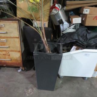 Tall black planter with a small tree, dimensions 15x15x30 inches. Used condition, suitable for indoor or outdoor decor.