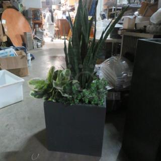 Black planter with green foliage, dimensions 18x18x8.5 inches. Includes tall and leafy greenery. Good condition.
