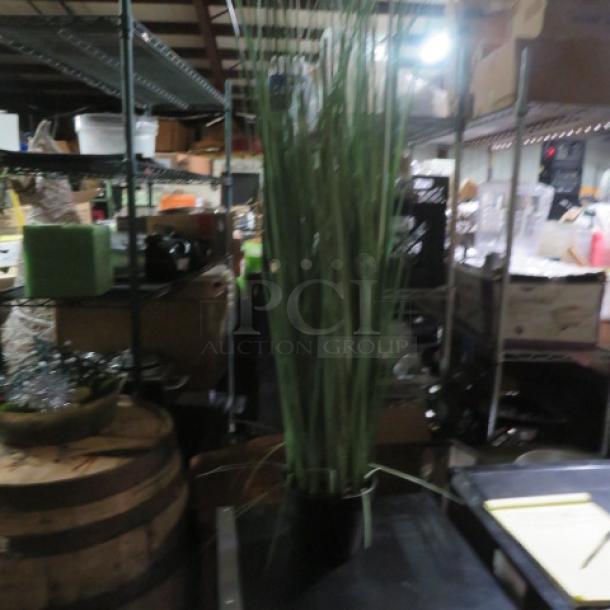 Small potted plant in black container, featuring tall, slender green stalks, set in an industrial warehouse environment.