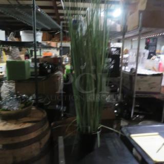 Small potted plant in black container, featuring tall, slender green stalks, set in an industrial warehouse environment.
