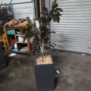 Tall planter with green plant, 13.5x13.5x24 inches. Square black pot with textured straw top layer. Good condition.