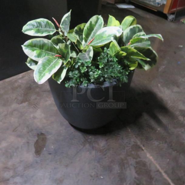 Round black planter with variegated greenery, measuring 18x17 inches. Ideal for indoor or outdoor decor.