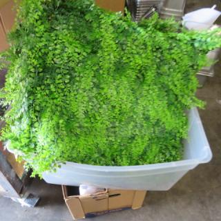 Large lot of artificial greenery in a plastic bin; vibrant green leaves, ideal for decorations or displays.
