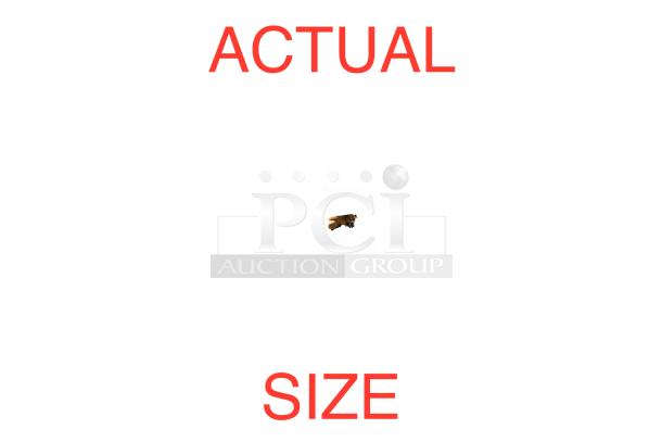 Small dog centered on a white background with red text reading "ACTUAL SIZE" above and below.
