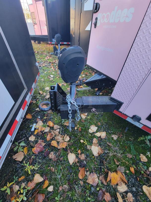 2021 SDG 20' Food Trailer in pink wrap, featuring dual axles and hitch. "goodees" branding visible on the side.