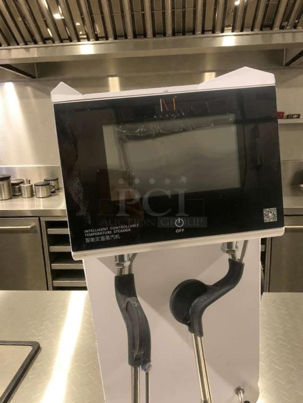 Premium condition commercial steam machine, Naixer model NDF-XCZQ2W, 240V, fully tested, intelligent controls visible.