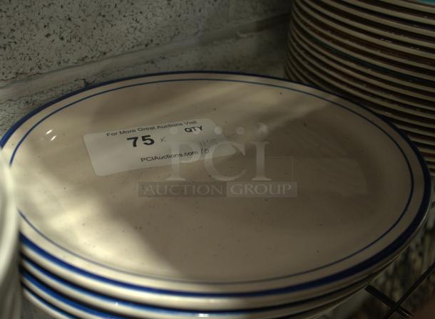 Buffalo China 11.5" oval plate, speckled pattern, blue rim, visible label "75 qty", excellent condition.