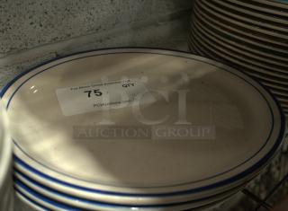 Buffalo China 11.5" oval plate, speckled pattern, blue rim, visible label "75 qty", excellent condition.