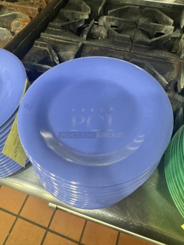 Blue Melamine plate BIDX16, stack of plates, glossy finish, smooth texture, excellent condition.