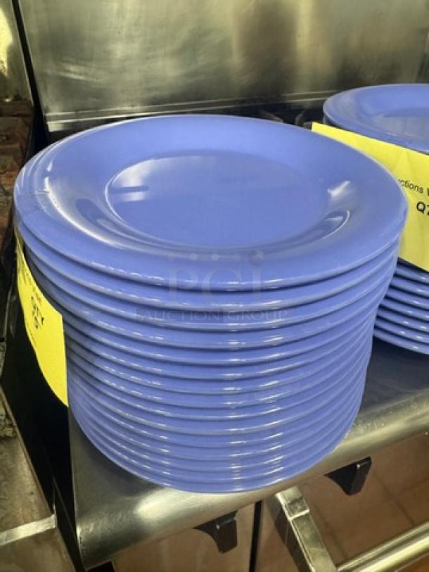 Stack of blue melamine plates, model BIDX15, in excellent condition. Ideal for durable, stylish dining solutions.