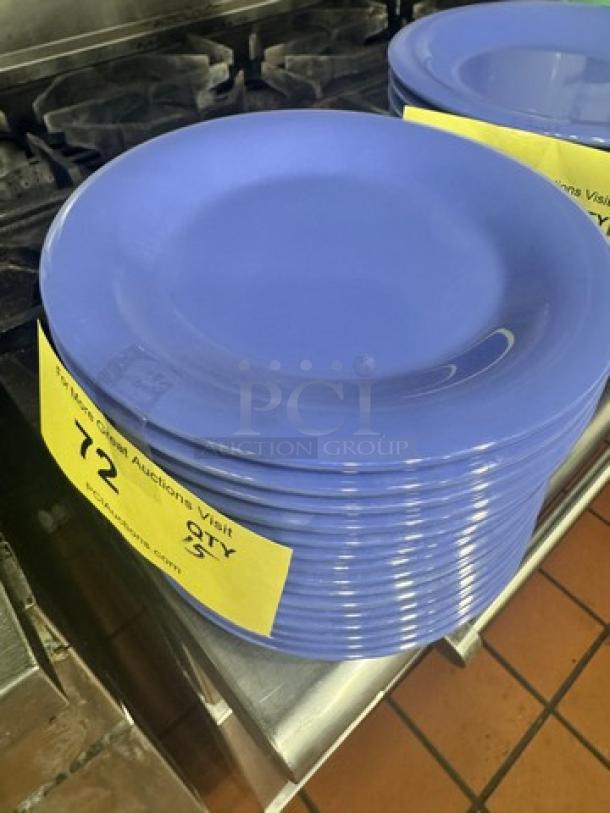 Stack of blue melamine plates, model BIDX15, in excellent condition. Auction tags indicate quantity and lot details.