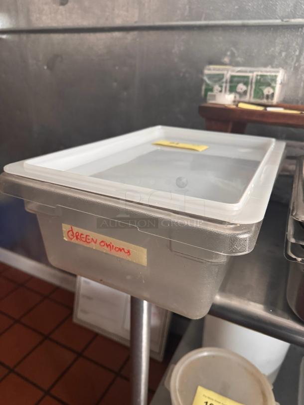 Clear plastic food storage container with white lid, labeled "GREEN onions." In good condition.
