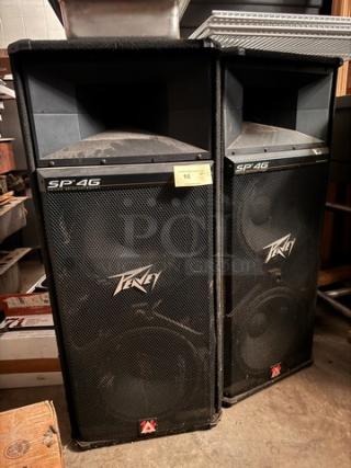 Peavey SP-4G speakers, black, dual 15-inch woofers, visible dust, Peavey logo on grilles, model BIDX2 label present.