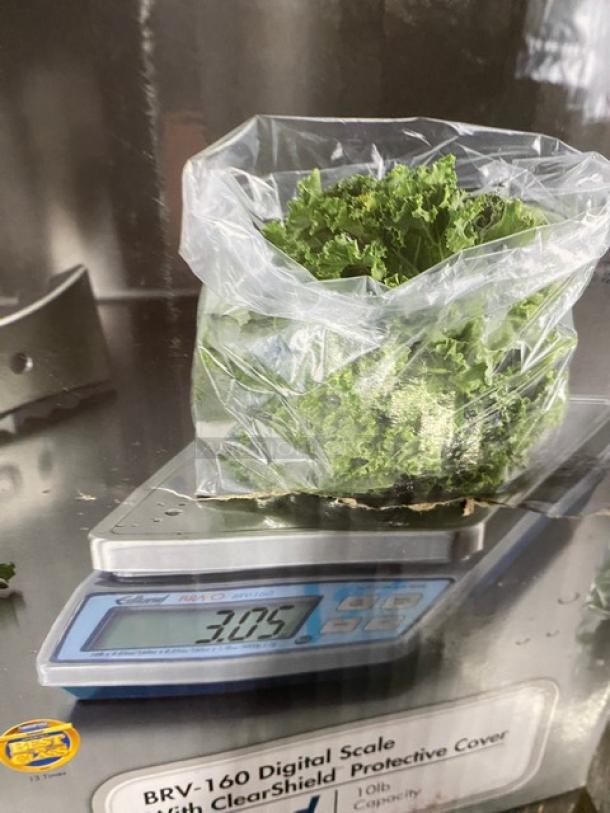 Edlund Bravo Series BRV-160 digital portion scale with ClearShield cover, easy-to-read LCD display, showing 3.075 lb. in use.