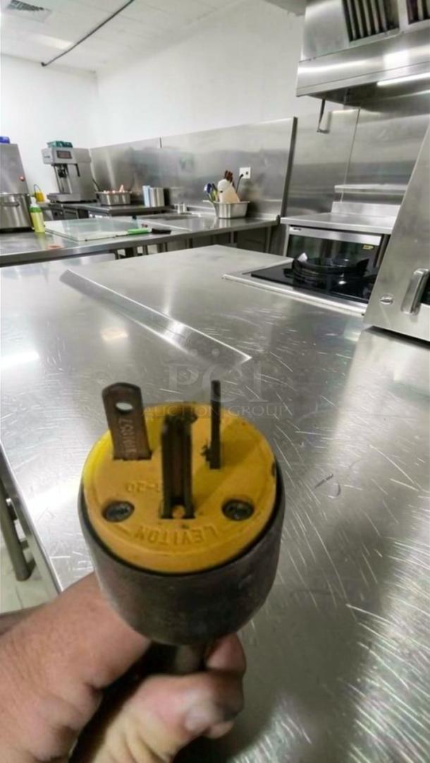 Nemco 6310-3-240 dual burner hot plate plug, excellent condition, 240V, NSF & ETL listed, operational, shown in commercial kitchen.