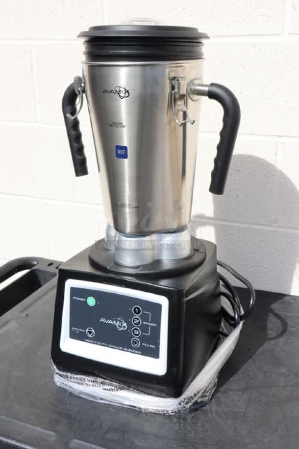 AvaMix BX1GRGT stainless steel commercial blender, 3 3/4 hp, 1-gallon capacity, with timer. Model: BX1GRGT, 120V.