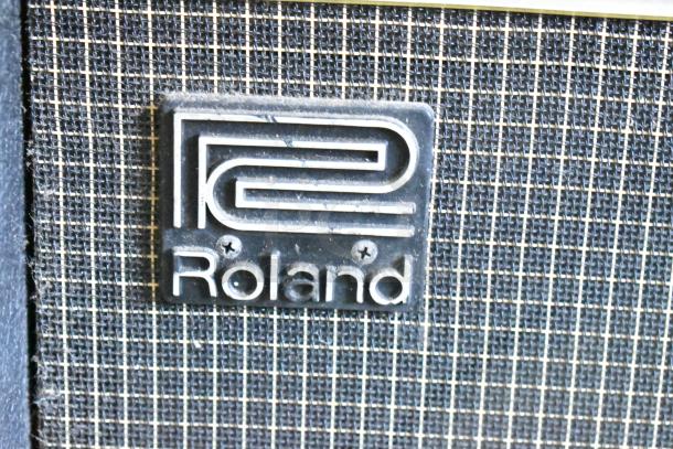 Roland Jazz Chorus 120 speaker logo, textured grille fabric, vintage amp detail.