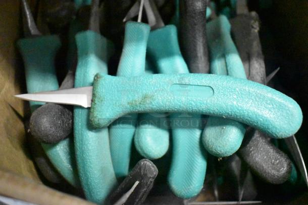 250 sharpened stainless steel knives with teal handles, including poultry and paring knives. Durable, ergonomic design.