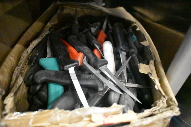 Box of 250 sharpened stainless steel knives with black, red, and green handles, including poultry and paring knives.