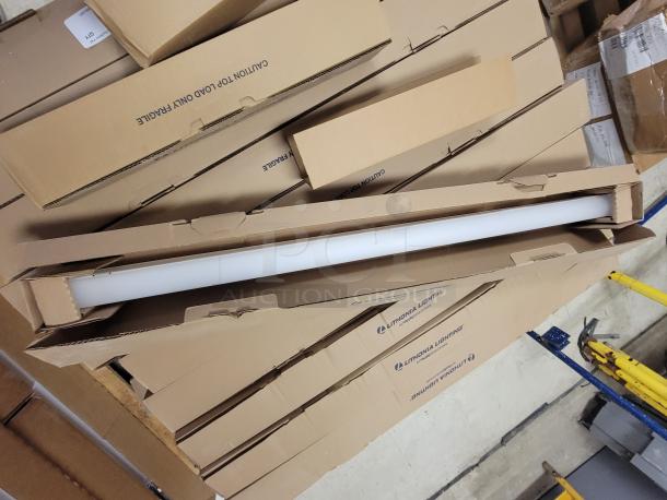 Three Lithonia Lighting ZL1D LED strip lights in boxes, including one 2-ft and two 4-ft fixtures, with frosted lenses and MVOLT tech.