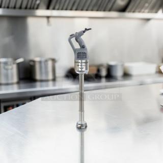 Elite condition Robot Coupe MP450VV immersion blender, 18" shaft, variable speed, heavy-duty, fully tested, operational.