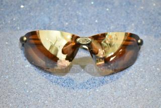 Brown framed sunglasses with BluBlocker brown lenses, brand new condition.