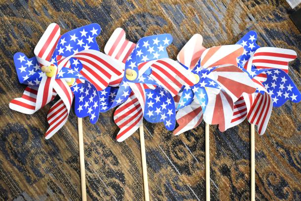 Colorful pinwheels with American flag design on sticks, displayed on patterned carpet. 10 times bid multiplier.
