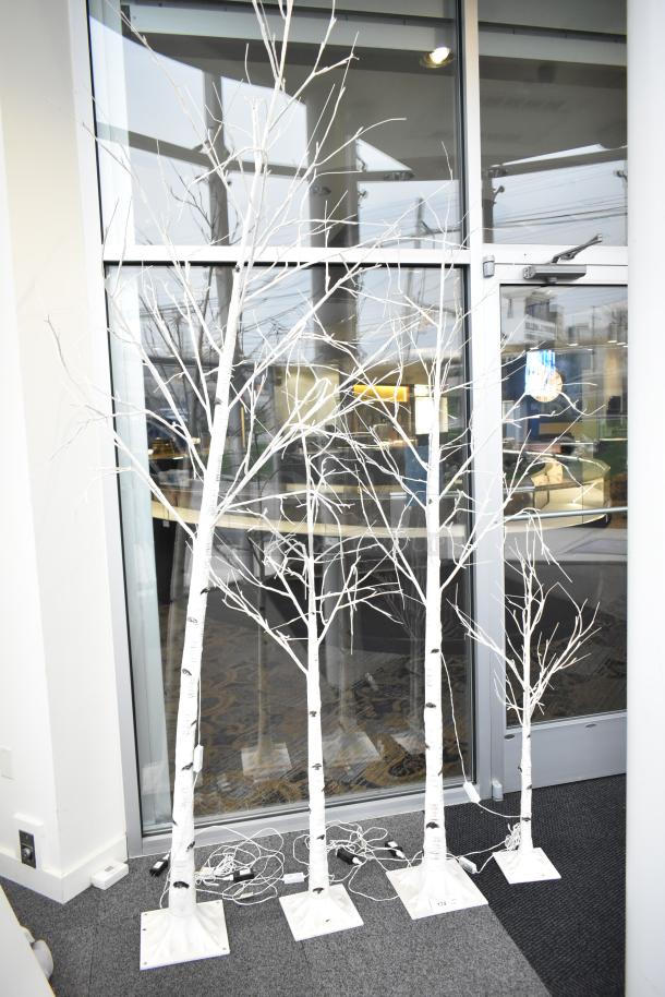 4 light-up fake birch trees in white, varying heights, with white bases. Includes power cords. Indoor decor.