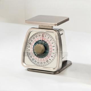 Pristine Taylor TS25KL mechanical portion scale, 25 lb capacity, stainless steel, fully operational, commercial kitchen use.