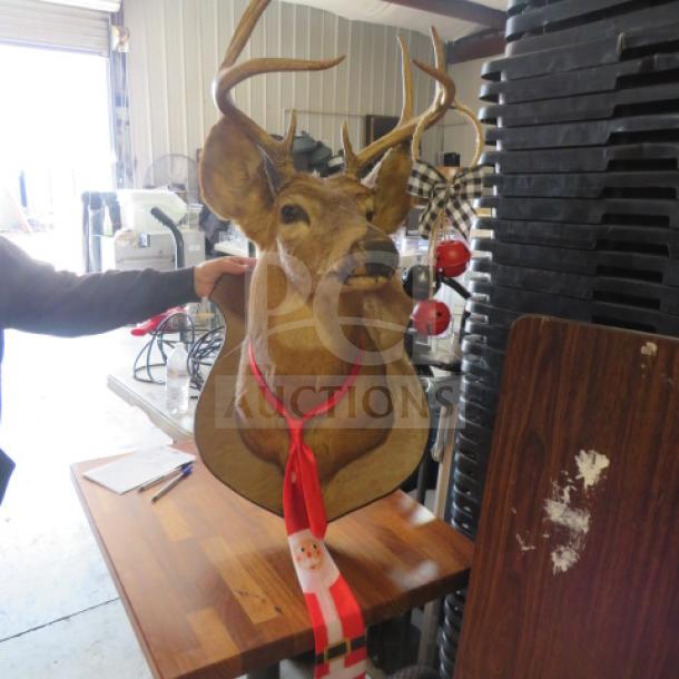 Mounted deer head with large antlers and festive red scarf. Displayed on wooden surface, showcasing detailed taxidermy work.
