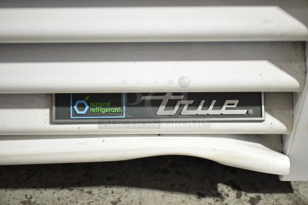 "True TSCI-600R-G-PH cooler, metal True logo, natural refrigerant label, 2021 model, commercial reach-in."