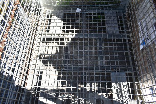 Rustic wire cage with grid pattern, sturdy construction, slight rust visible. Suitable for industrial use or storage.