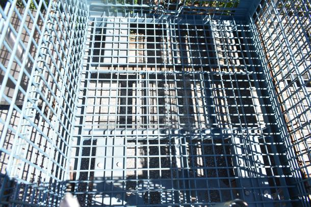 Blue wire cage with a grid pattern, featuring a reinforced base. Excellent condition, ideal for storage or transport.